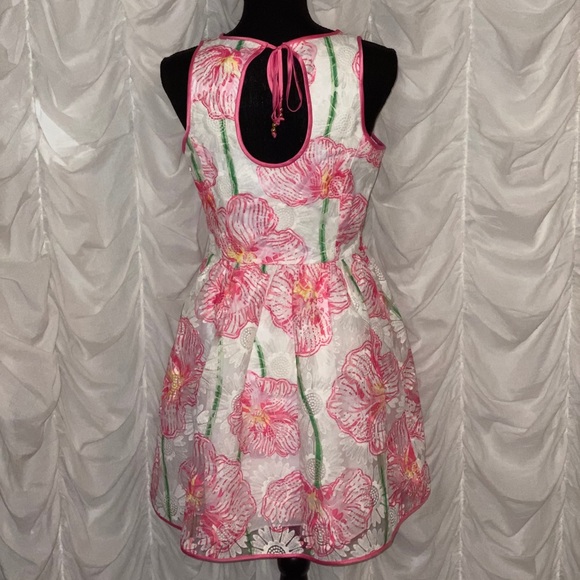 Lilly Pulitzer dress - Picture 2 of 3